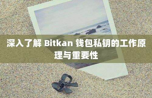 深入了解 Bitkan 钱包私钥的工作原理与重要性