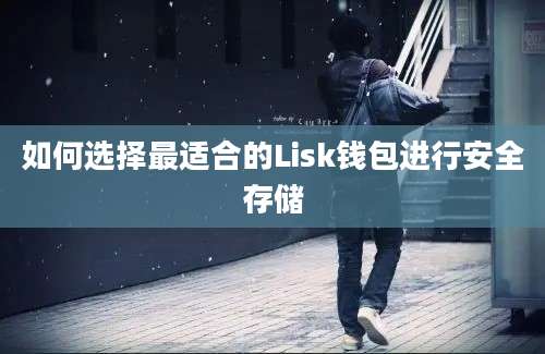 如何选择最适合的Lisk钱包进行安全存储