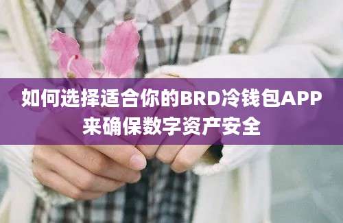 如何选择适合你的BRD冷钱包APP来确保数字资产安全