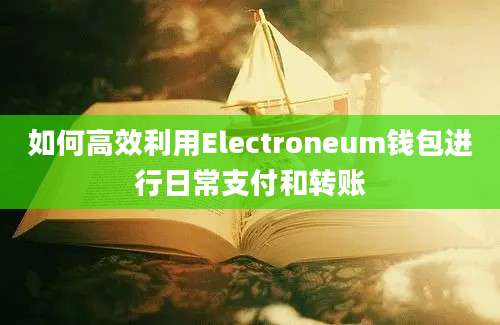 如何高效利用Electroneum钱包进行日常支付和转账