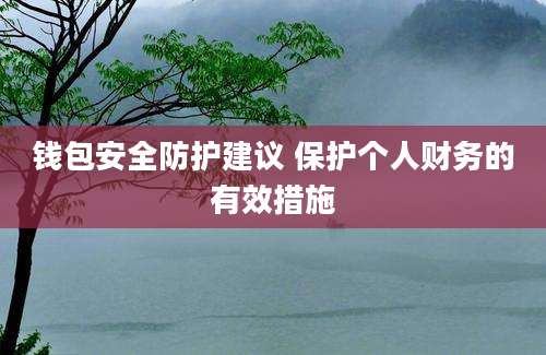 钱包安全防护建议 保护个人财务的有效措施