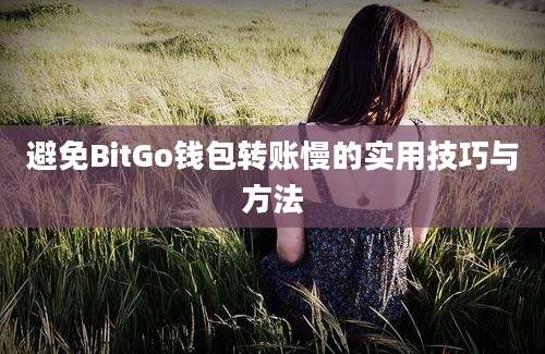 避免BitGo钱包转账慢的实用技巧与方法