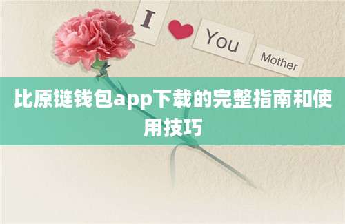 比原链钱包app下载的完整指南和使用技巧