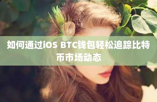 如何通过iOS BTC钱包轻松追踪比特币市场动态