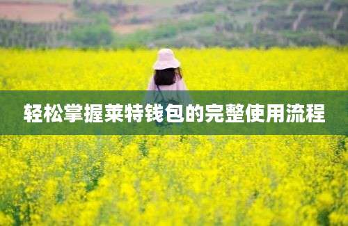 轻松掌握莱特钱包的完整使用流程