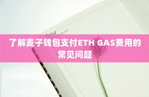 了解麦子钱包支付ETH GAS费用的常见问题