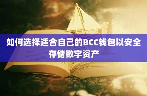 如何选择适合自己的BCC钱包以安全存储数字资产