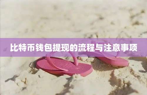 比特币钱包提现的流程与注意事项