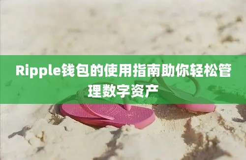 Ripple钱包的使用指南助你轻松管理数字资产