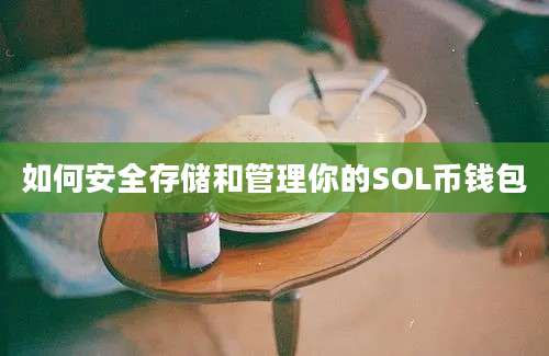 如何安全存储和管理你的SOL币钱包