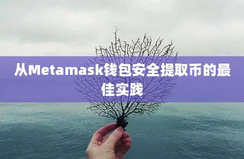 从Metamask钱包安全提取币的最佳实践