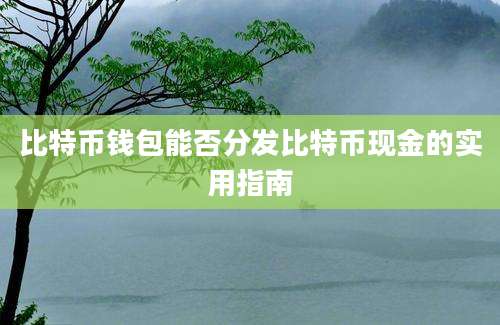 比特币钱包能否分发比特币现金的实用指南