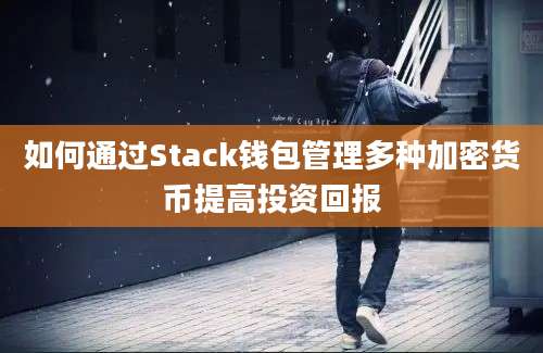 如何通过Stack钱包管理多种加密货币提高投资回报