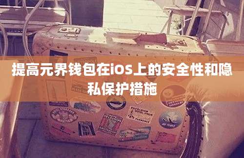 提高元界钱包在iOS上的安全性和隐私保护措施