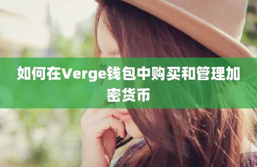 如何在Verge钱包中购买和管理加密货币