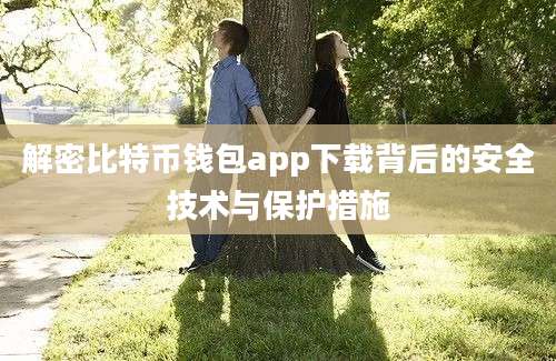 解密比特币钱包app下载背后的安全技术与保护措施