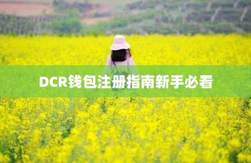 DCR钱包注册指南新手必看