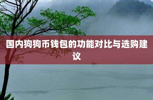 国内狗狗币钱包的功能对比与选购建议