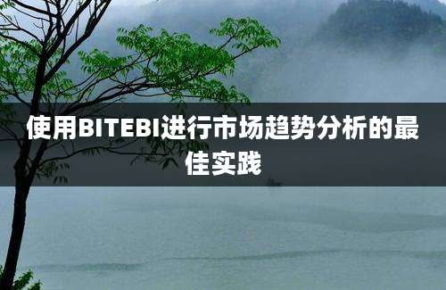 使用BITEBI进行市场趋势分析的最佳实践