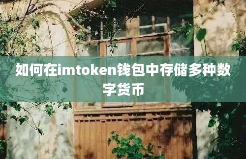 如何在imtoken钱包中存储多种数字货币