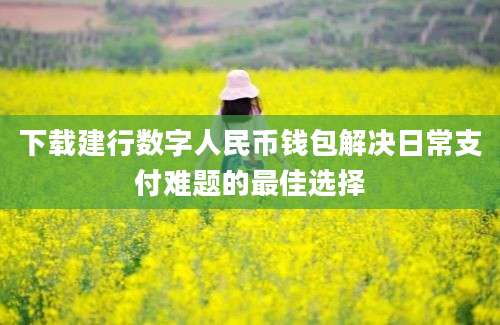 下载建行数字人民币钱包解决日常支付难题的最佳选择