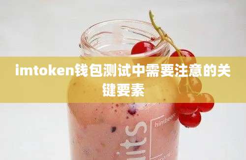 imtoken钱包测试中需要注意的关键要素