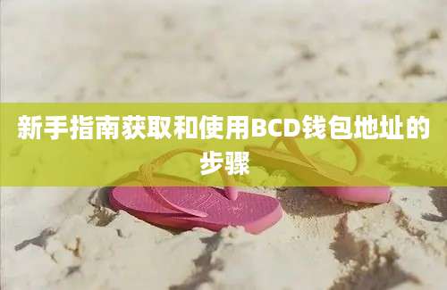 新手指南获取和使用BCD钱包地址的步骤