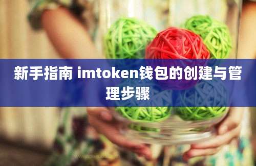 新手指南 imtoken钱包的创建与管理步骤