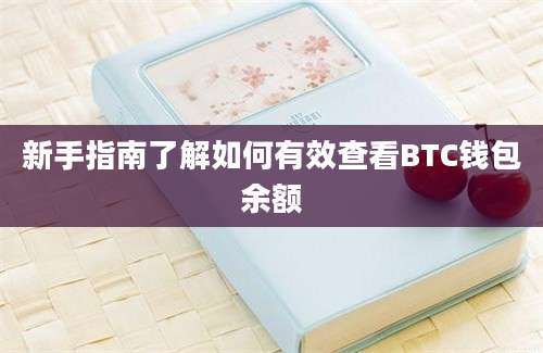 新手指南了解如何有效查看BTC钱包余额