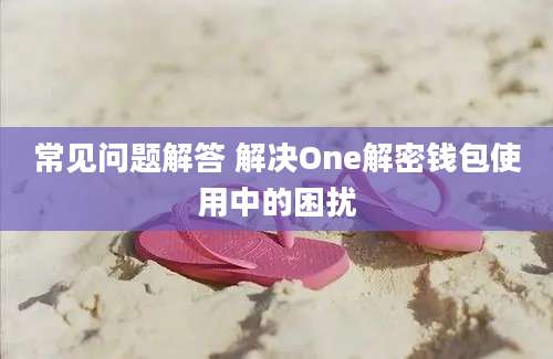 常见问题解答 解决One解密钱包使用中的困扰