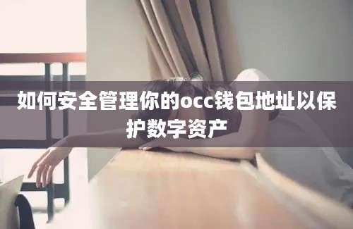 如何安全管理你的occ钱包地址以保护数字资产