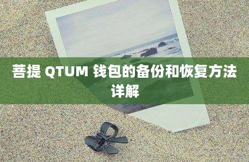 菩提 QTUM 钱包的备份和恢复方法详解