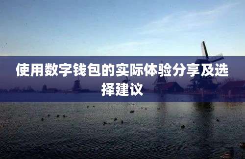 使用数字钱包的实际体验分享及选择建议