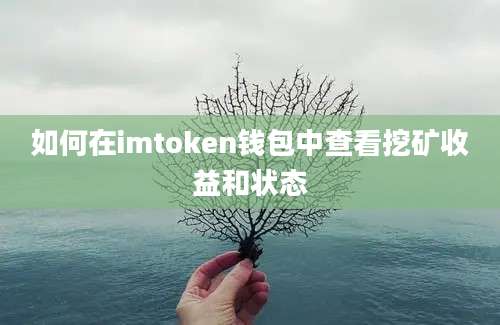 如何在imtoken钱包中查看挖矿收益和状态