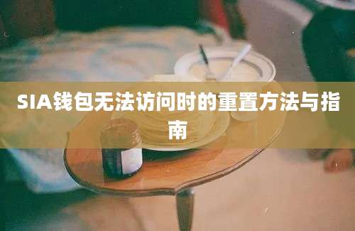 SIA钱包无法访问时的重置方法与指南