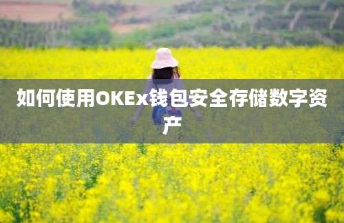 如何使用OKEx钱包安全存储数字资产