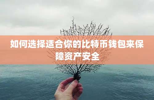 如何选择适合你的比特币钱包来保障资产安全