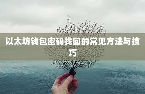 以太坊钱包密码找回的常见方法与技巧