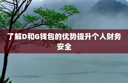 了解D和G钱包的优势提升个人财务安全