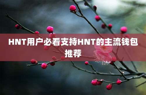 HNT用户必看支持HNT的主流钱包推荐