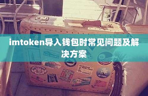 imtoken导入钱包时常见问题及解决方案