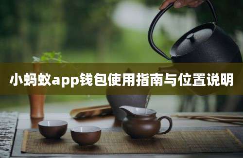 小蚂蚁app钱包使用指南与位置说明