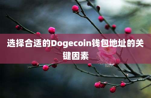 选择合适的Dogecoin钱包地址的关键因素