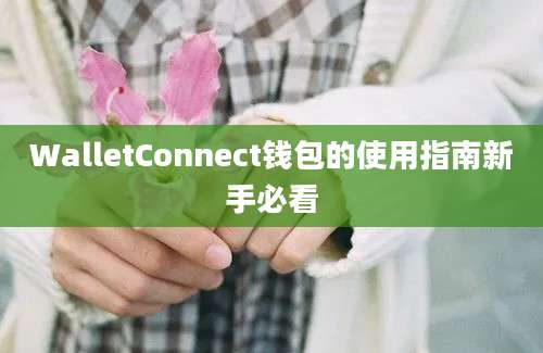 WalletConnect钱包的使用指南新手必看