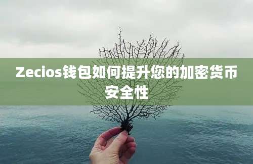 Zecios钱包如何提升您的加密货币安全性