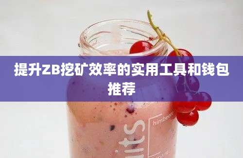 提升ZB挖矿效率的实用工具和钱包推荐