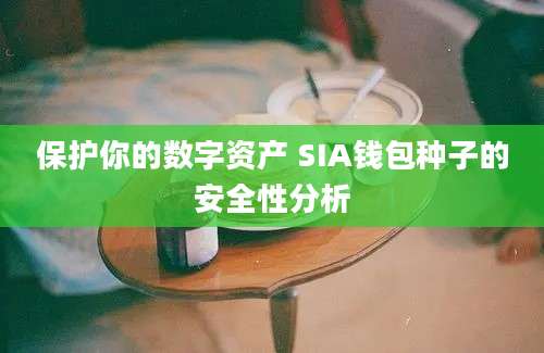 保护你的数字资产 SIA钱包种子的安全性分析