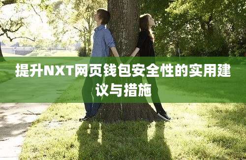 提升NXT网页钱包安全性的实用建议与措施