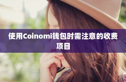 使用Coinomi钱包时需注意的收费项目