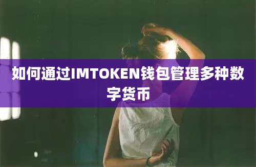 如何通过IMTOKEN钱包管理多种数字货币